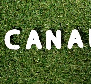 The Best Places To Live in Canada