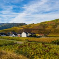 fields and cottages in the countryside