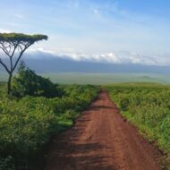 Ngorongoro Crater, Tanzania