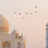 Muslim Population by Country