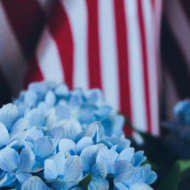 American flag and blue flowers