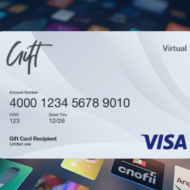 Visa e-Gift Card Blog Zebra Article Header