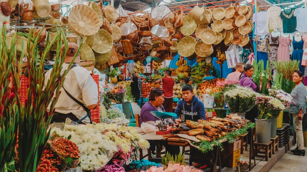 Travel to Mexico without a Passport