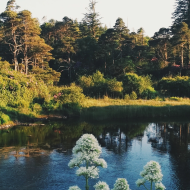 Moving to Ireland from US: The Ultimate Guide