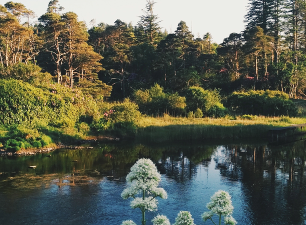 Moving to Ireland from US: The Ultimate Guide