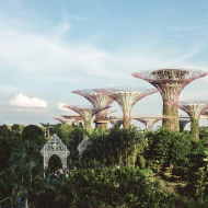 Living in Singapore The Ultimate Guide